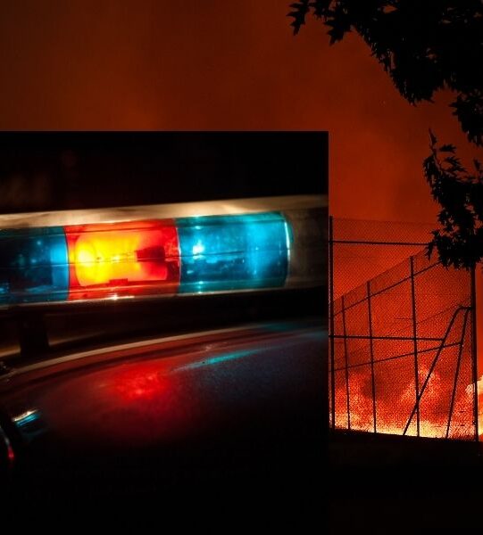 Untitled (600 x 900 px) (1)